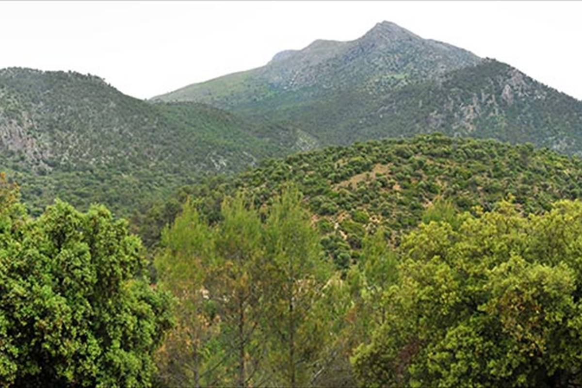 Sierra_Magina-03
