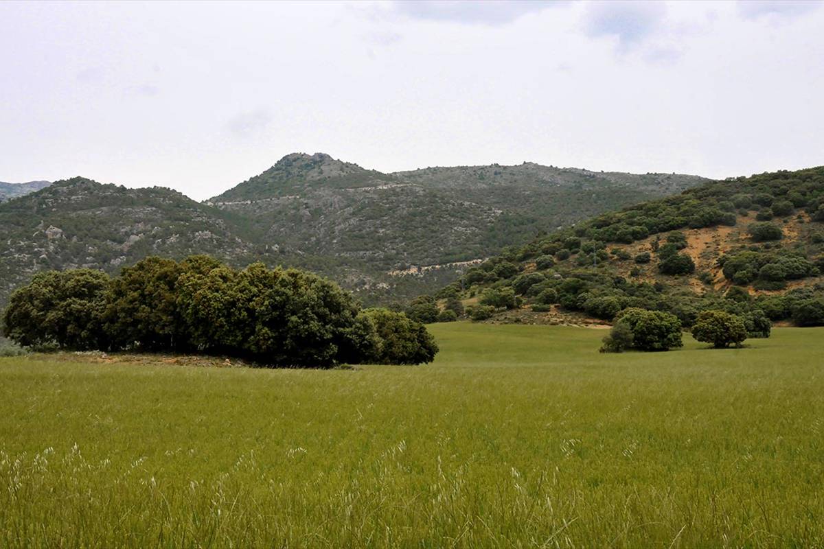 Sierra_Magina-04