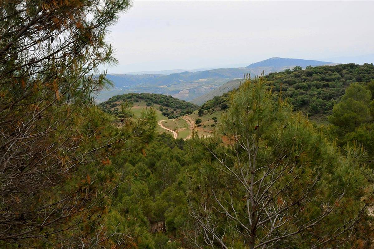 Sierra_Magina-08