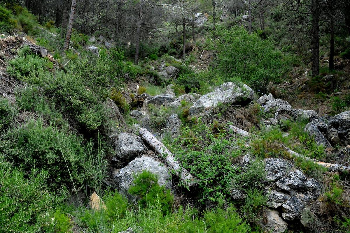 Sierra_Magina-09