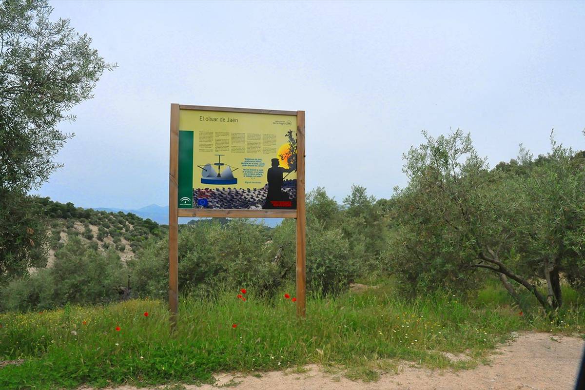 Sierra_Magina-10