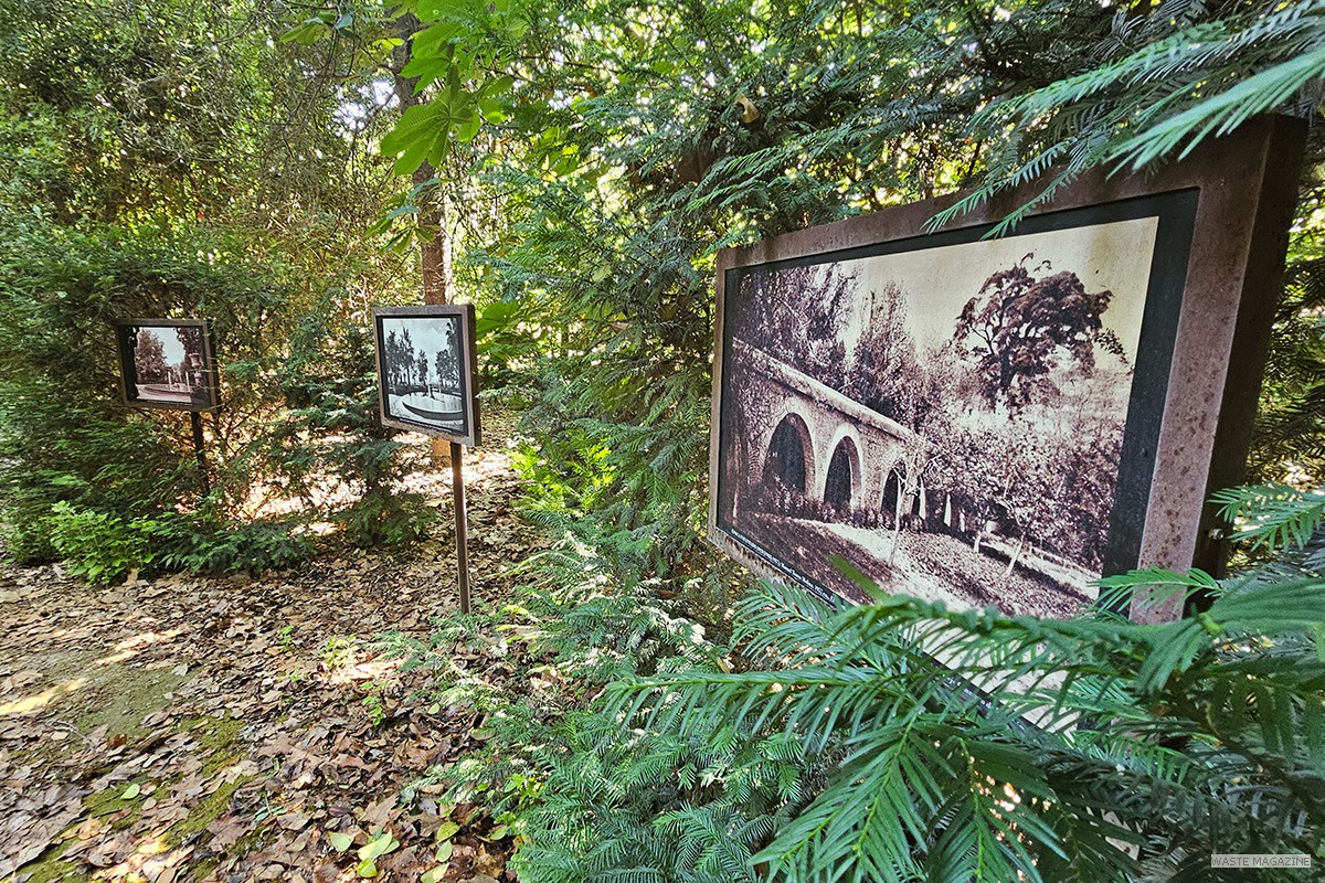 Martires_secreto_bosque_05