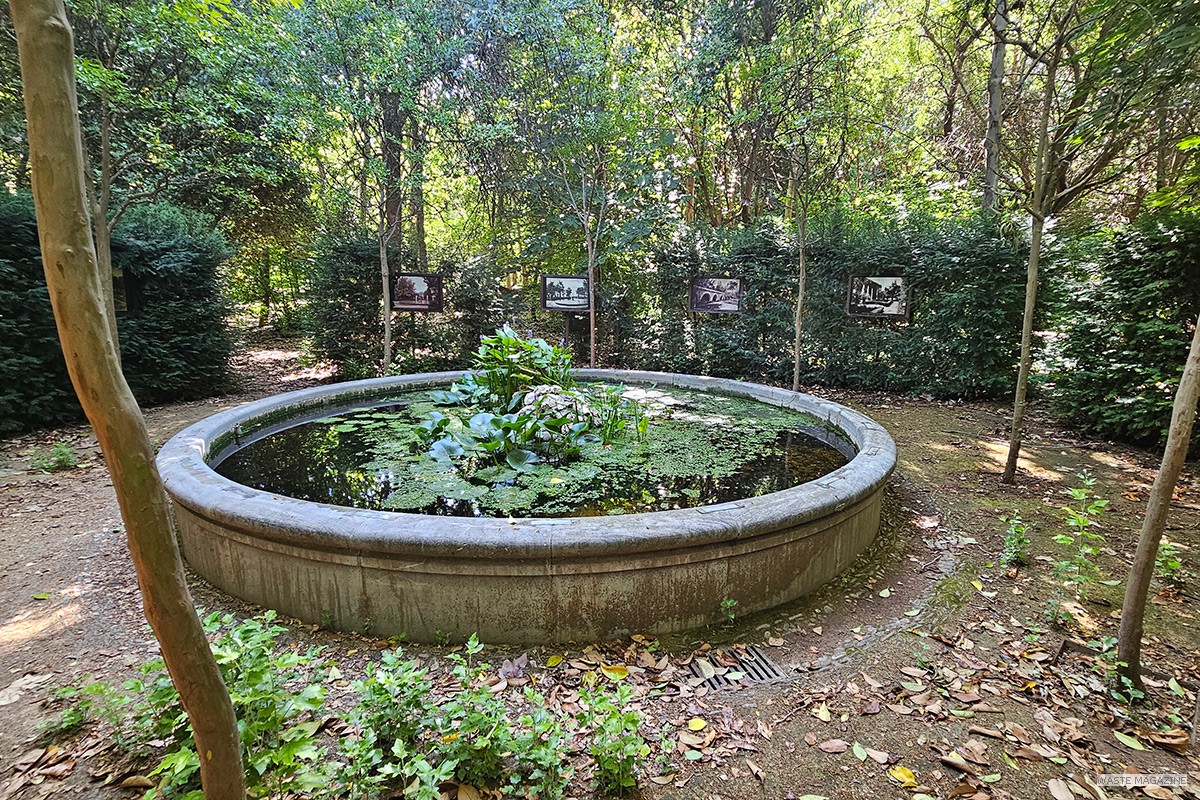 Martires_secreto_bosque_06