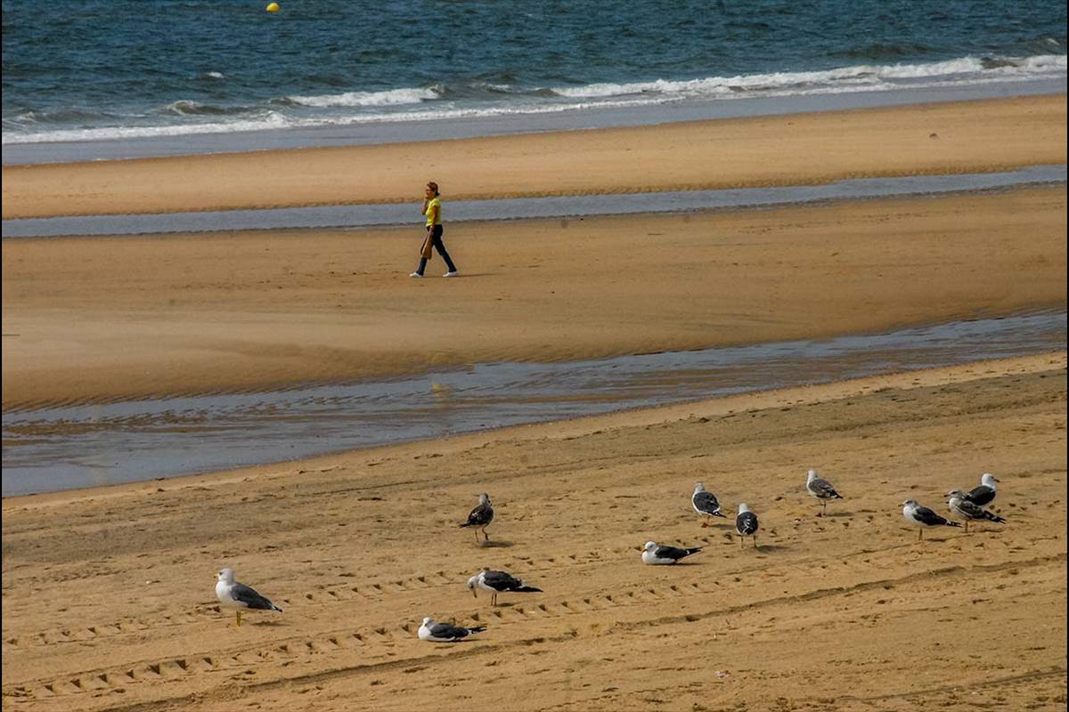 Playa Matalascañas
