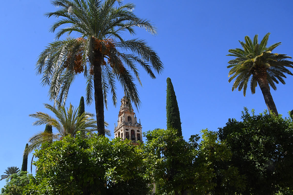 mezquitadecordoba02