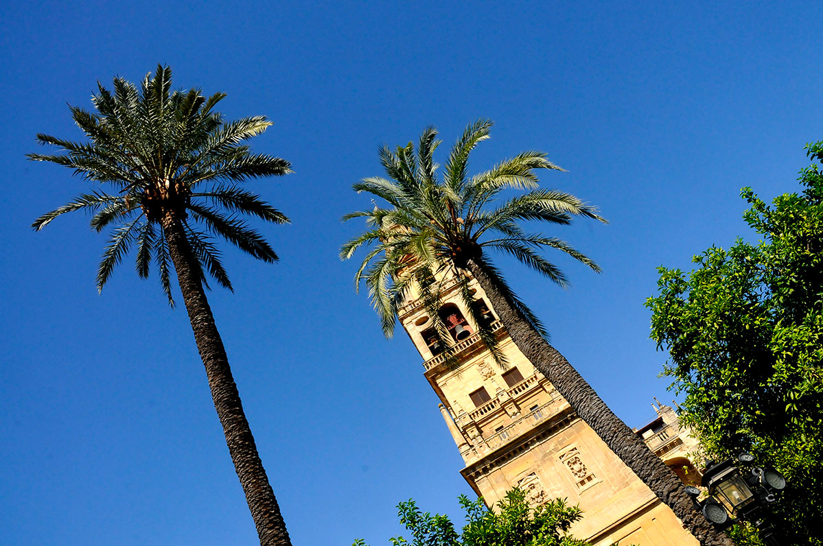 mezquitadecordoba19