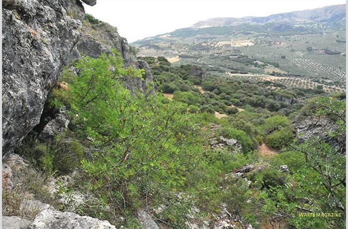 montefrio-penadelosgitanos4