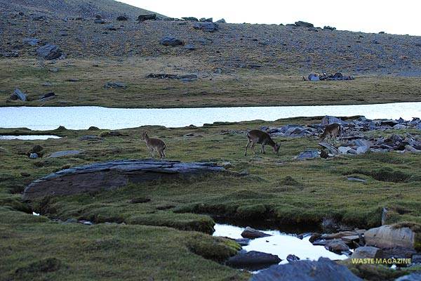 mulhacen-fotogaleria9