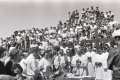 ROMERIA-MULHACEN-1982