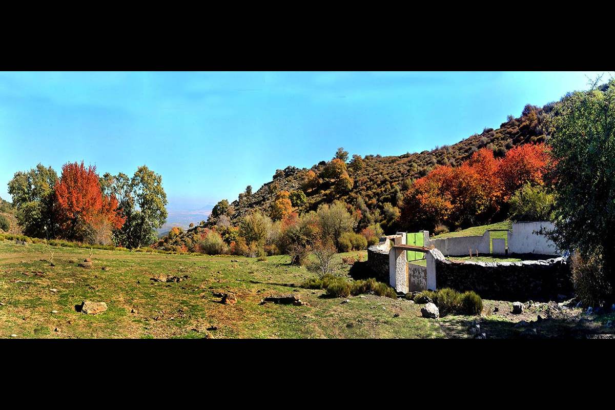 Dehesa del Camarate
