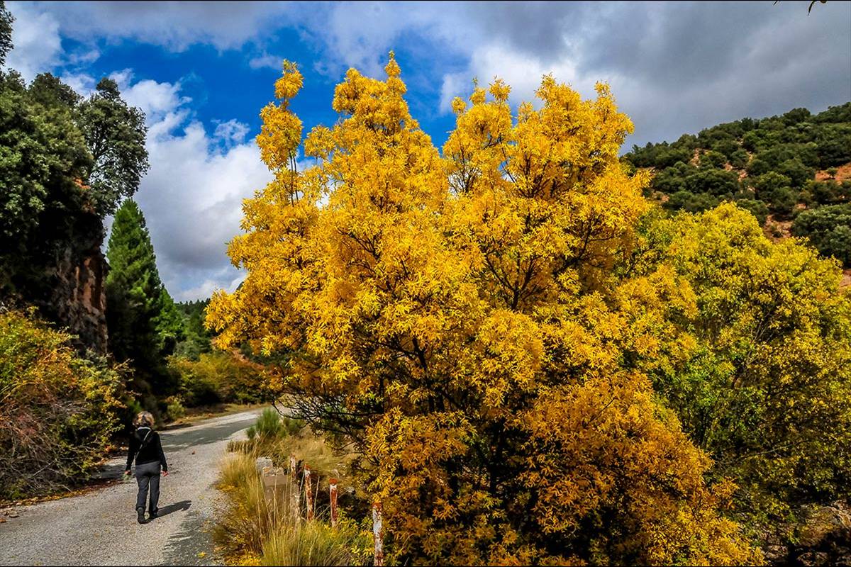 Otoño, Sierra de Huétor, El Molinillo