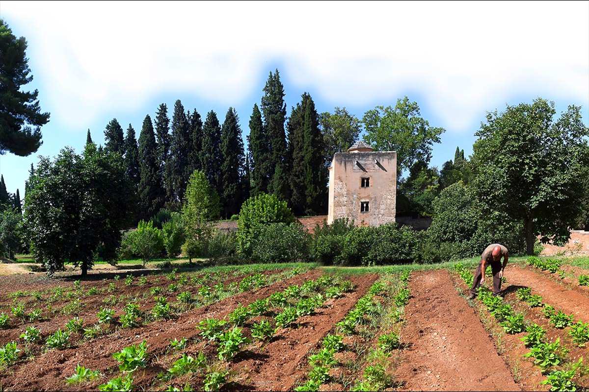 Huertas nazaries del Generalife