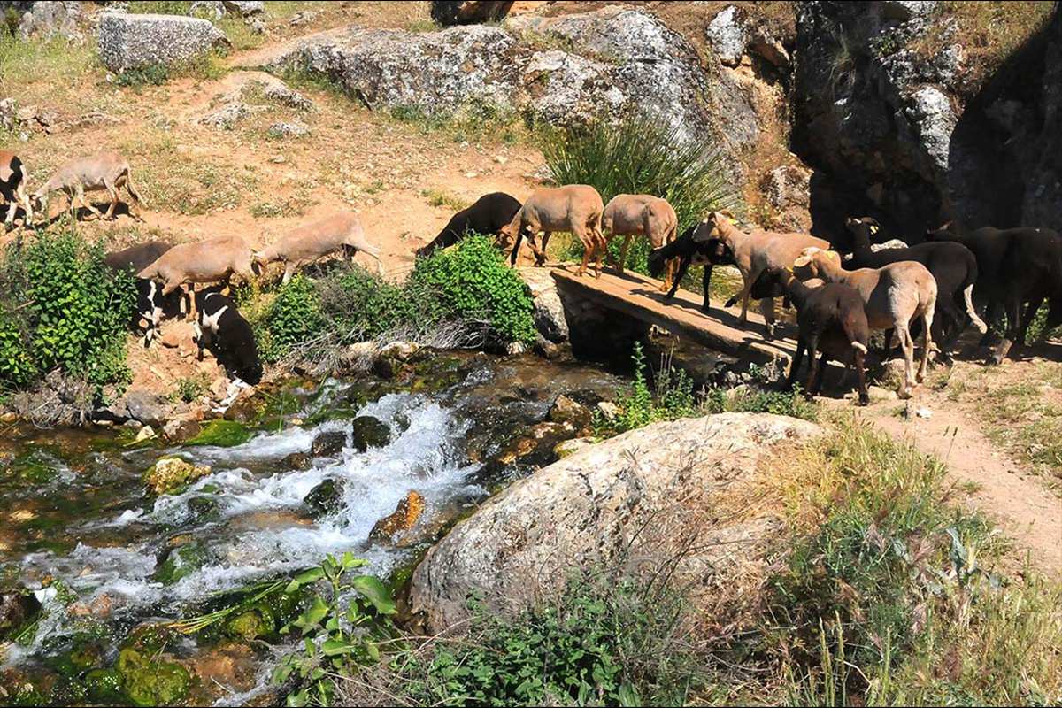 Nacimiento de Riofrío, Monumentos Naturales de Granada