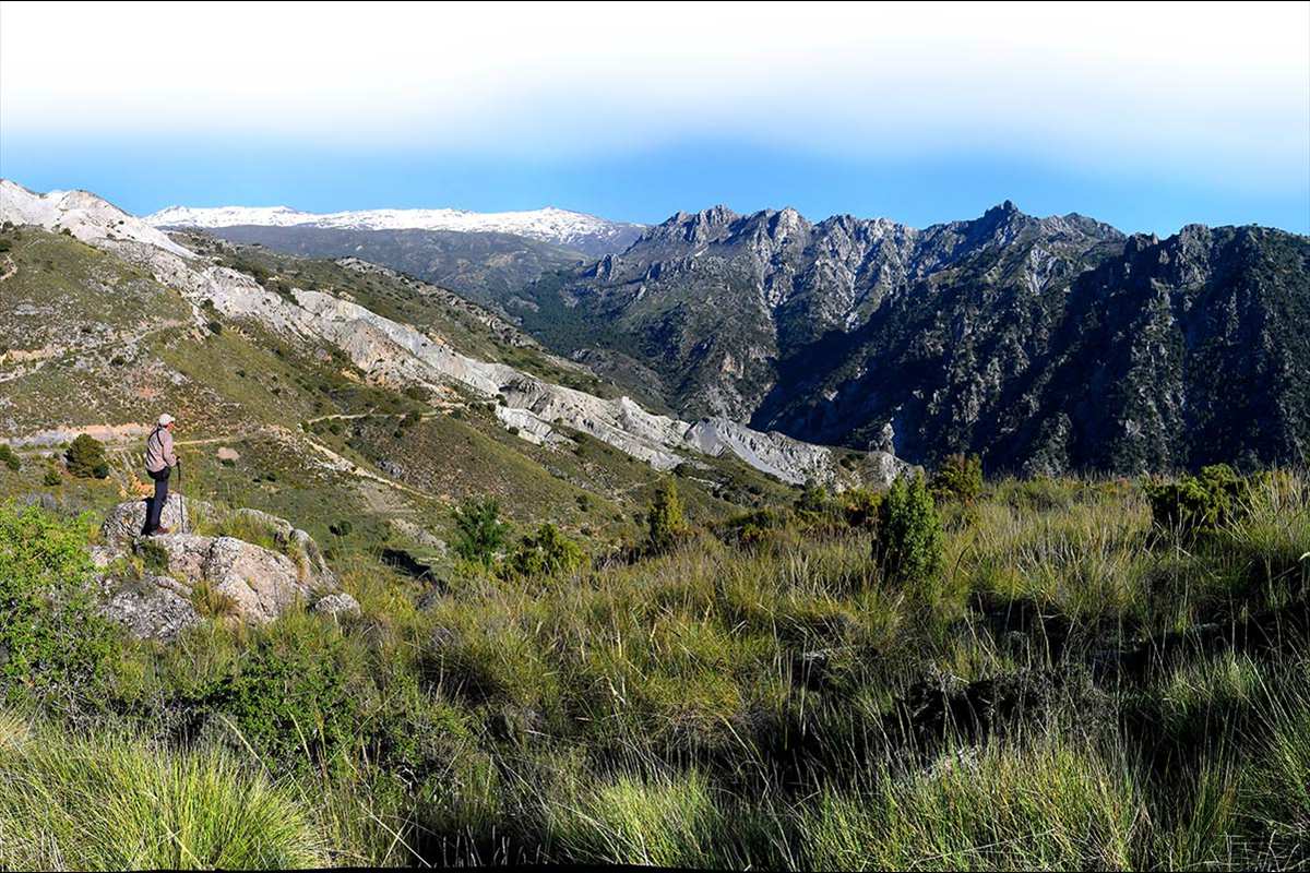 sierranevada-alayos