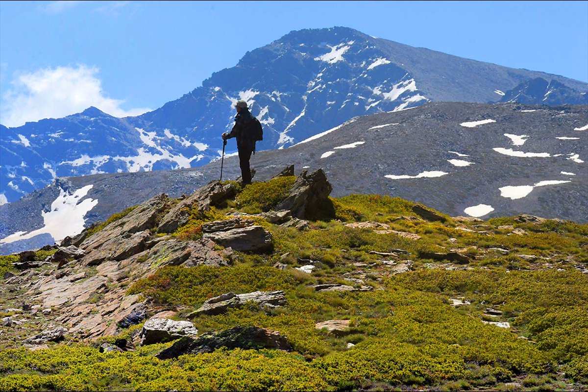 Sierra Nevada, piornal de San Francisco