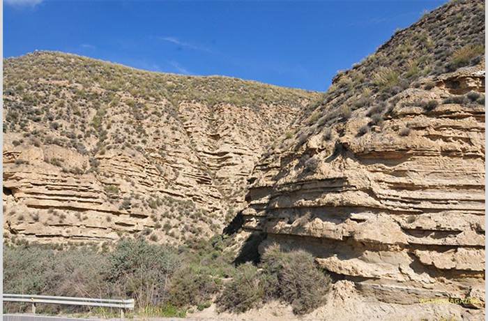 lamalaha-22