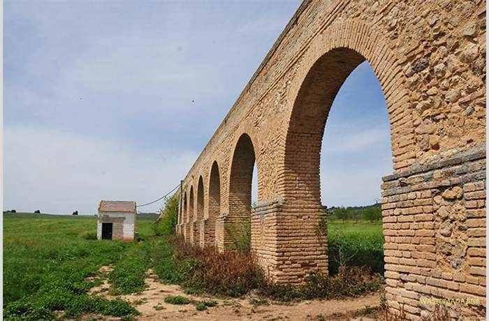 molinodelrey-14