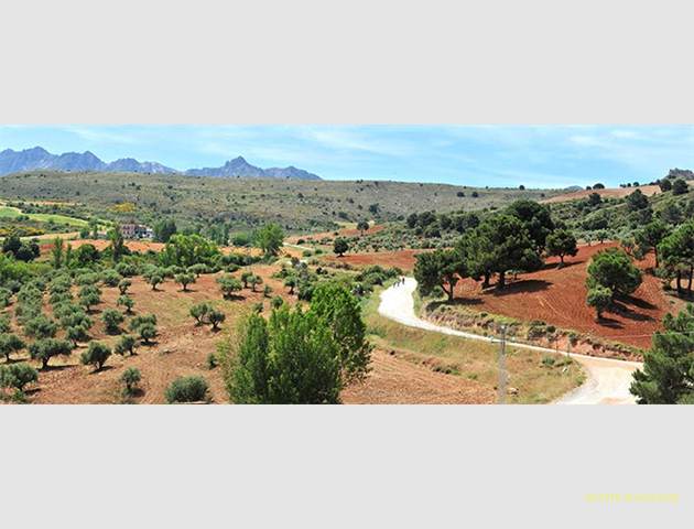 hervidero-panoramica