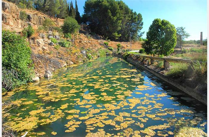 lagunadelosarenales5