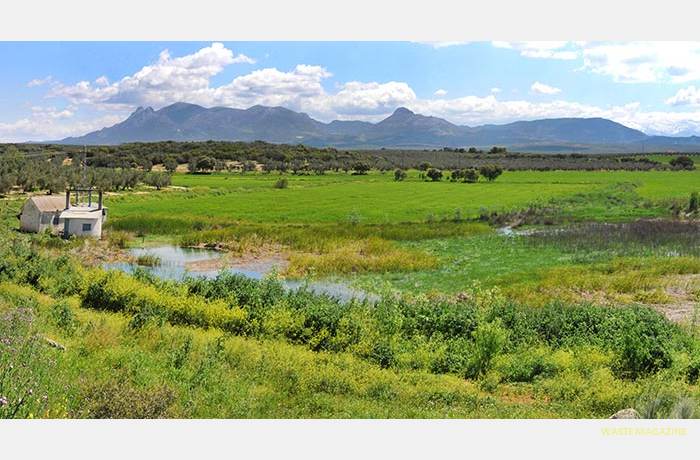 lagunadelosarenales-panoramica-1