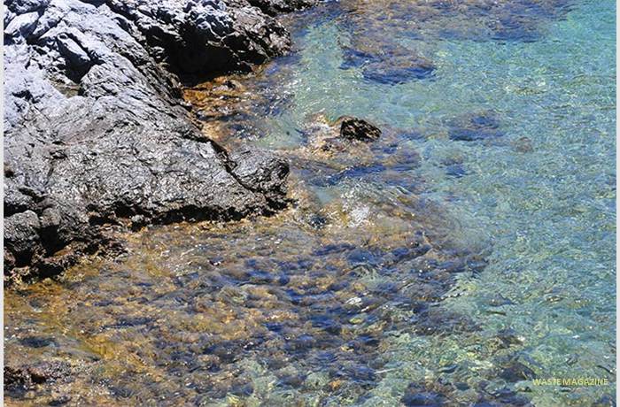 marinadeleste-buceo-006