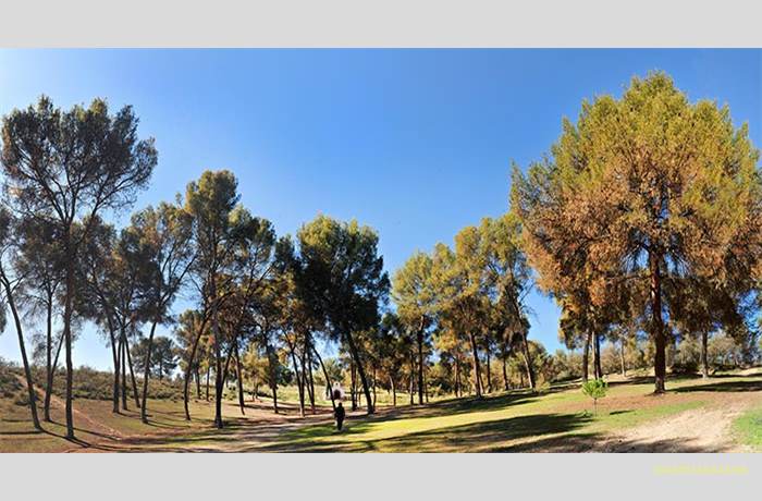 panoramica-con-jeg-horizontal