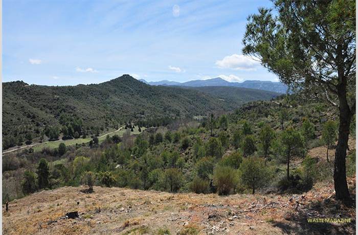 la-resinera-mirador-006