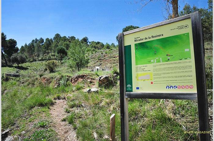 mirador-camino