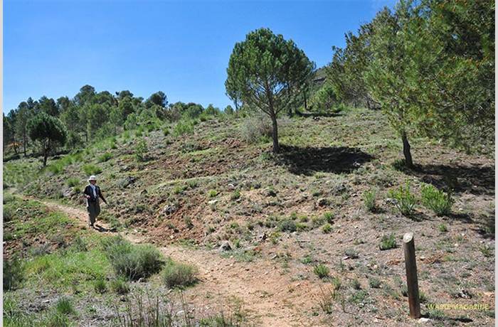 mirador-camino2