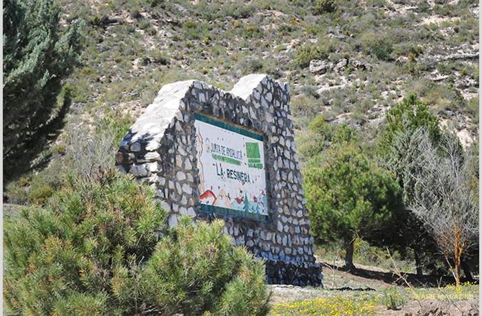 resinera-finca