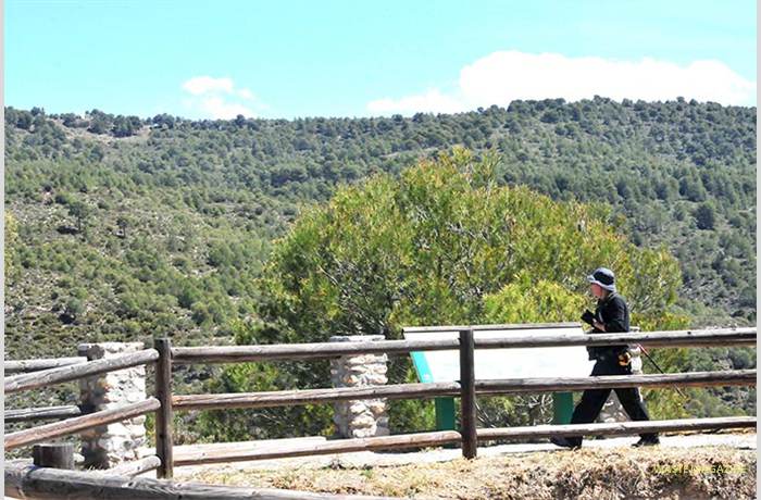 resinera-mirador