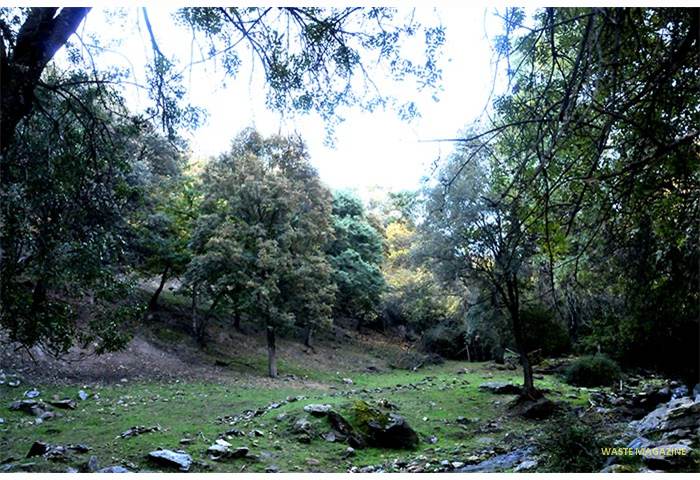 rioalhama-camarate-011