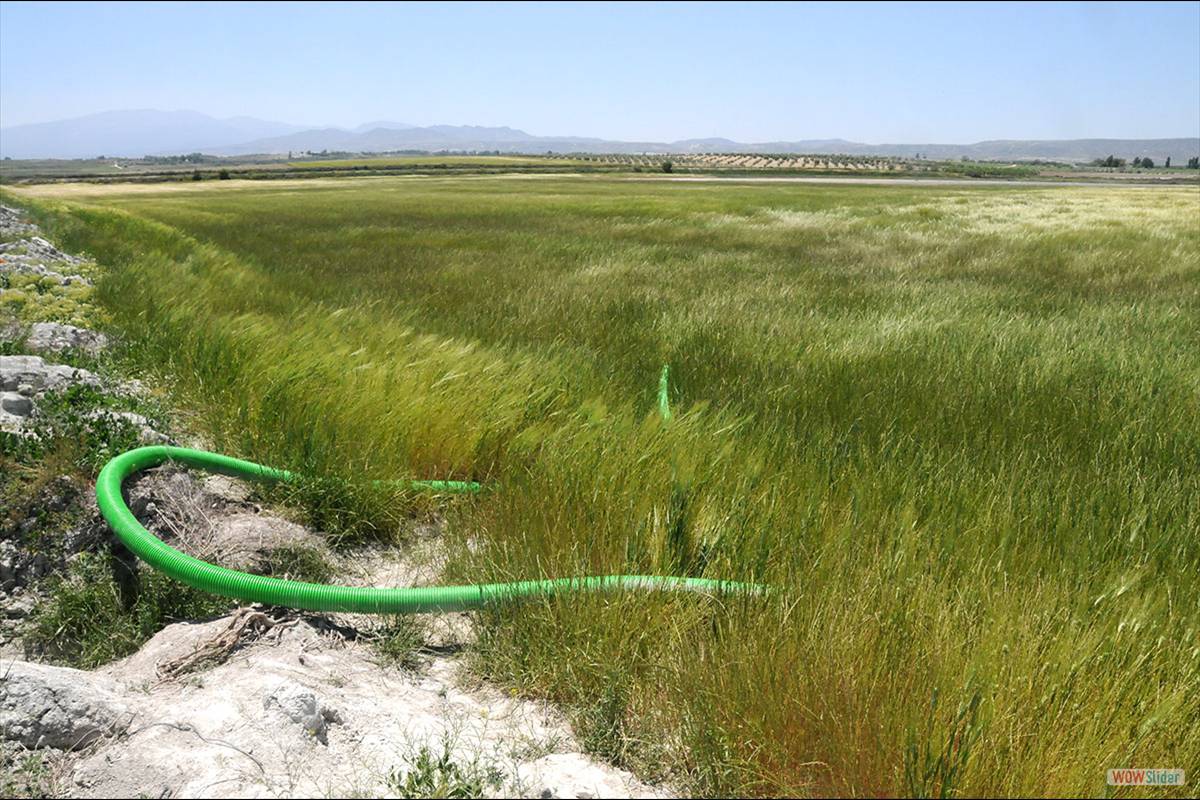 Humedal de Baic. Tuberias apra extraer el agua. Foto: Juan Enrique Gómez y Merche S. Calle