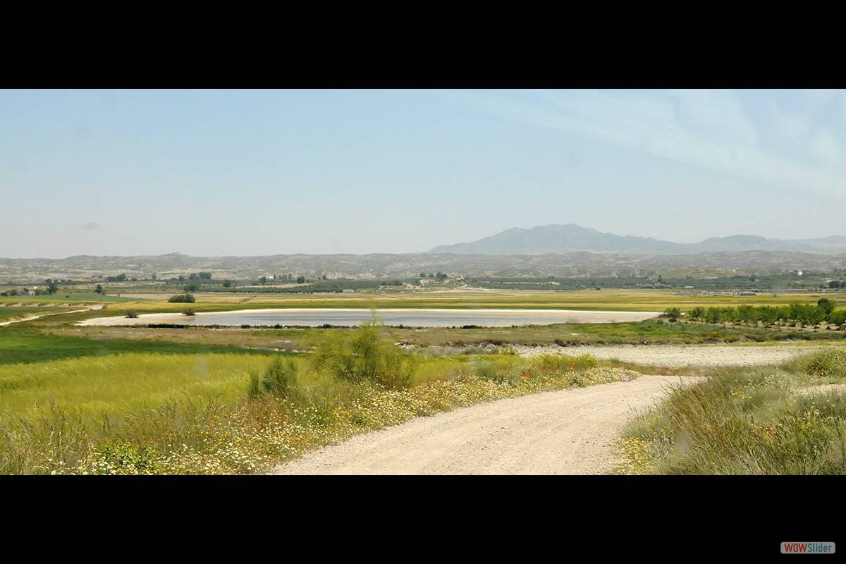 Humedal de Baico. Foto: Juan Enrique Gómez y Merche S. Calle