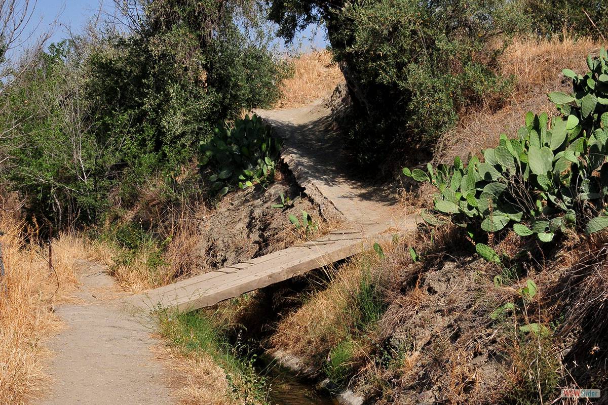CERRO DE LA ENCINA. Foto: J. E. GÓMEZ Y MERCHE S. CALLE