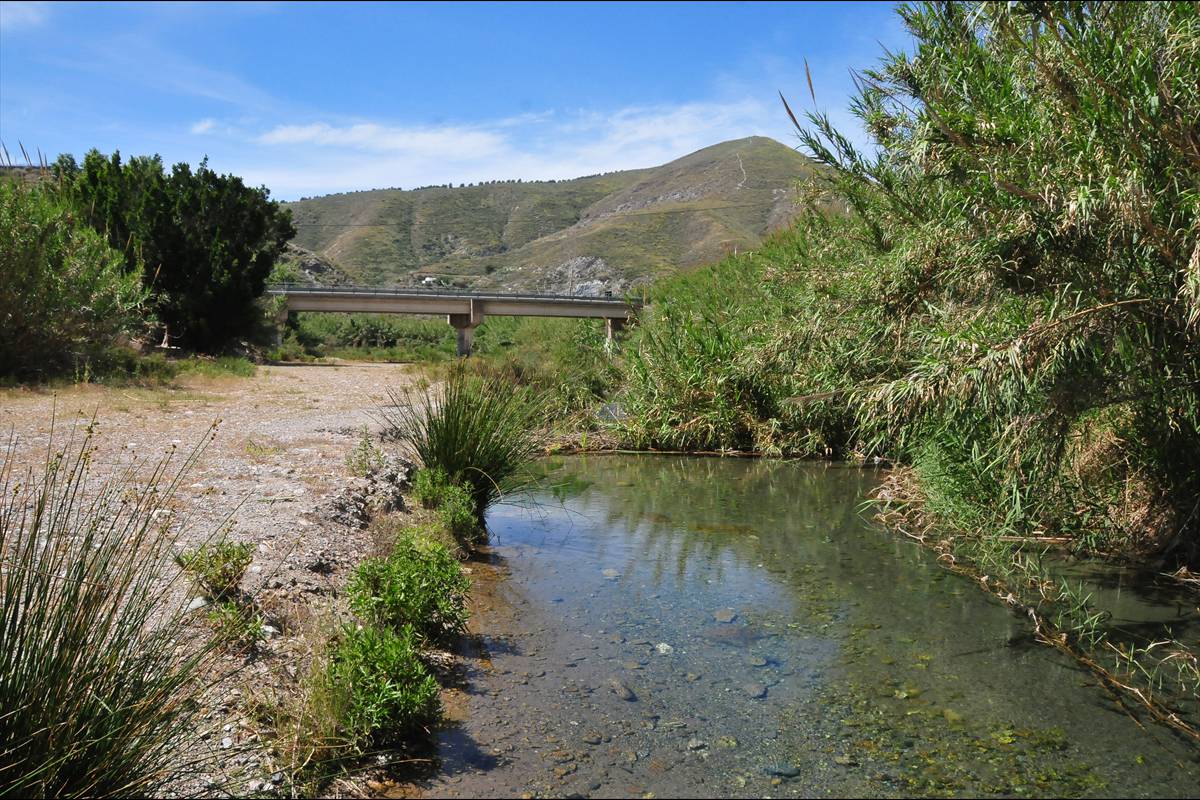 FUENTES DE MARBELLA * FOTO: J. E. GÓMEZ y MERCHE S. CALLE
