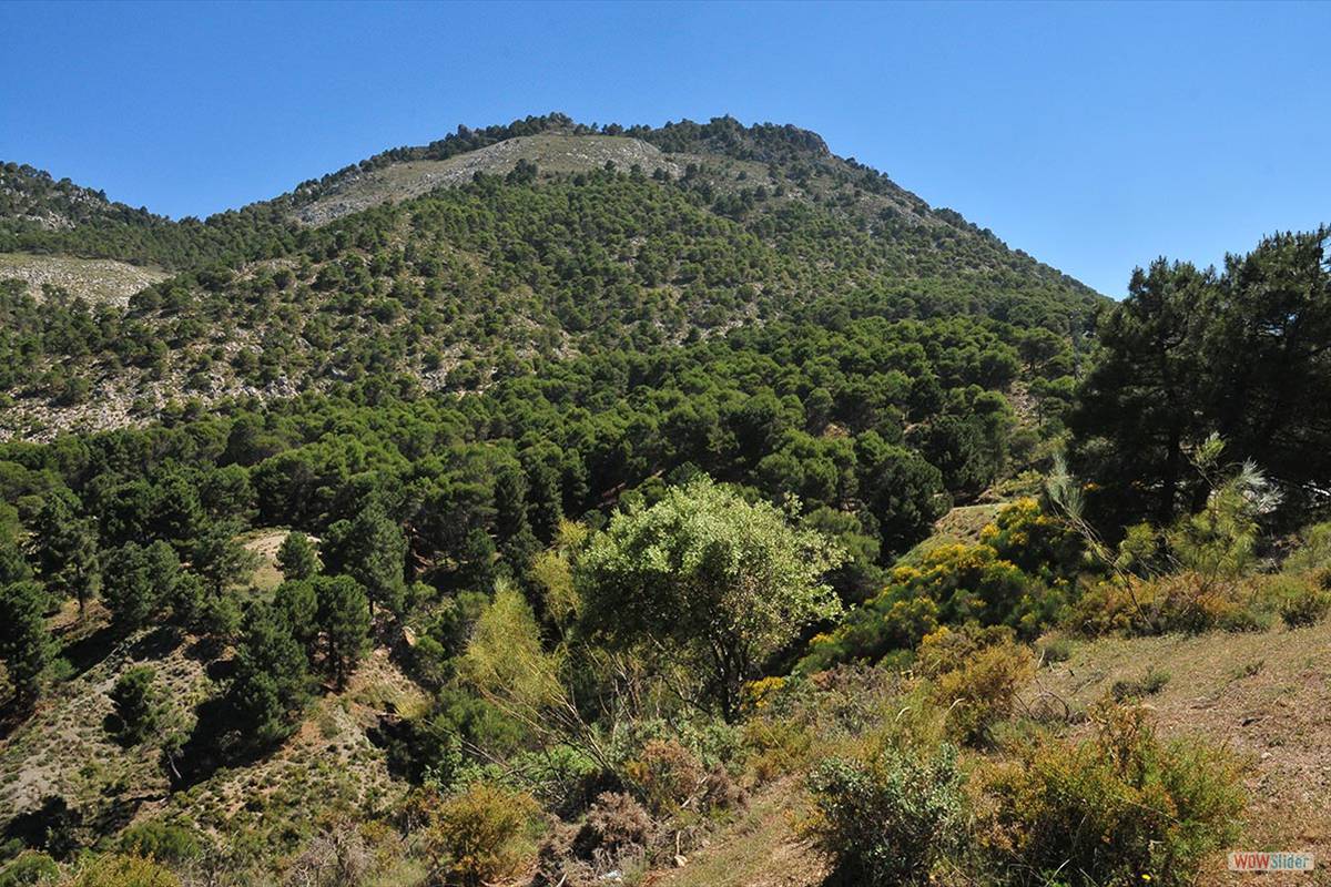 RUTA DE LORCA * BARANCO DE VÍZNAR. FOTOS: J. E. GÓMEZ Y MERCHE S. CALLE