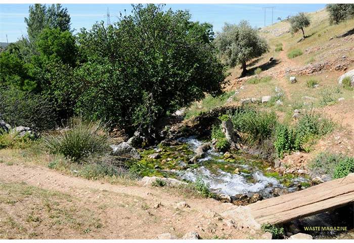 riofrio-nacimiento09