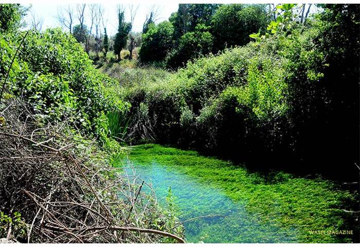 riofrio-vegetacion-horizontal