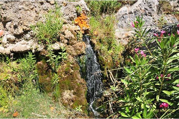 Nacimiento en Rambla de Aldáyar