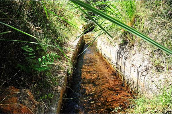 Acequia de Aldáyar