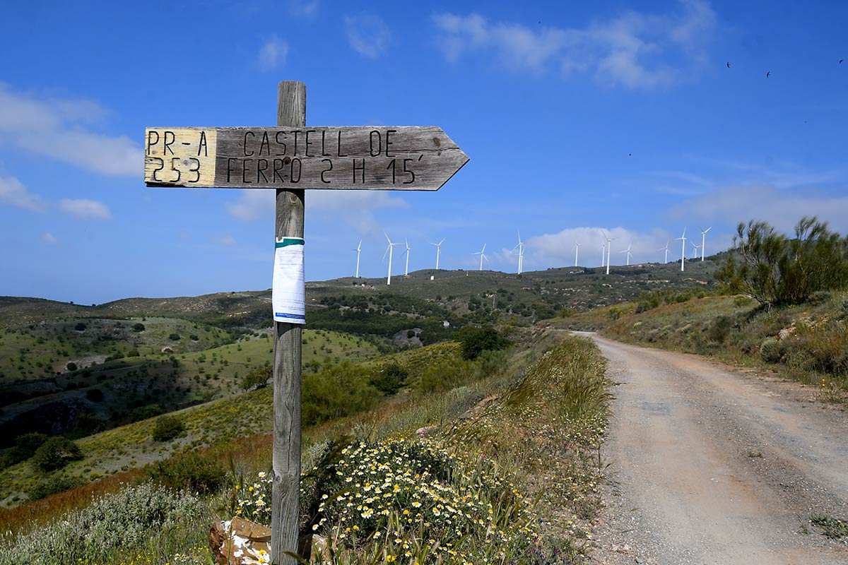 pico-del-aguila-049