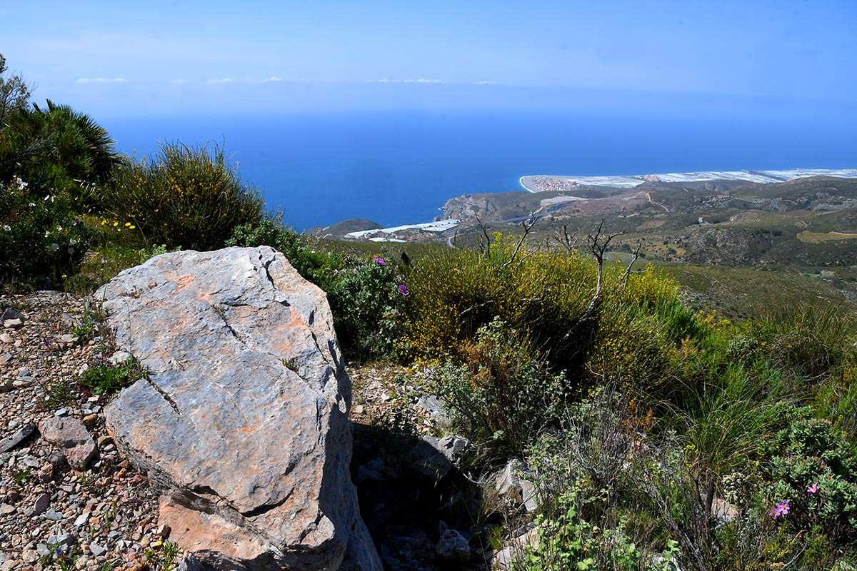 pico-del-aguila-109