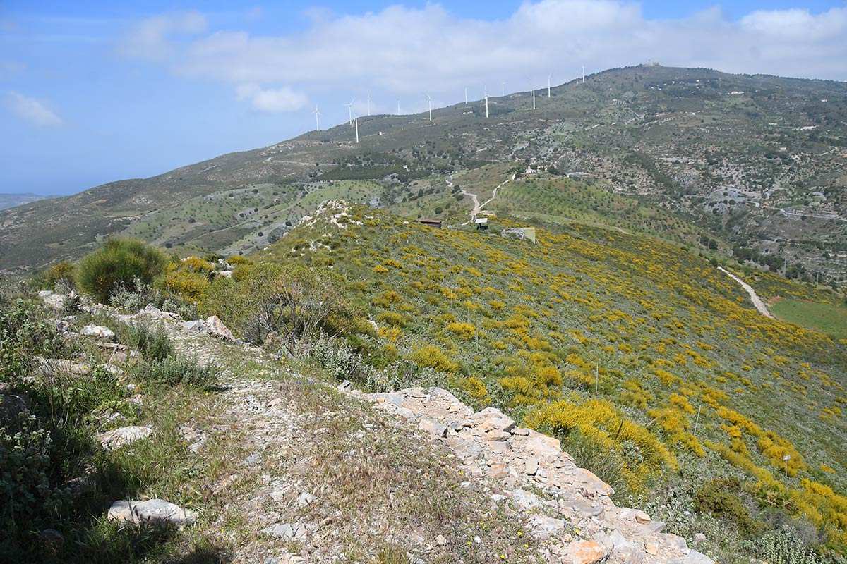 pico-del-aguila-163