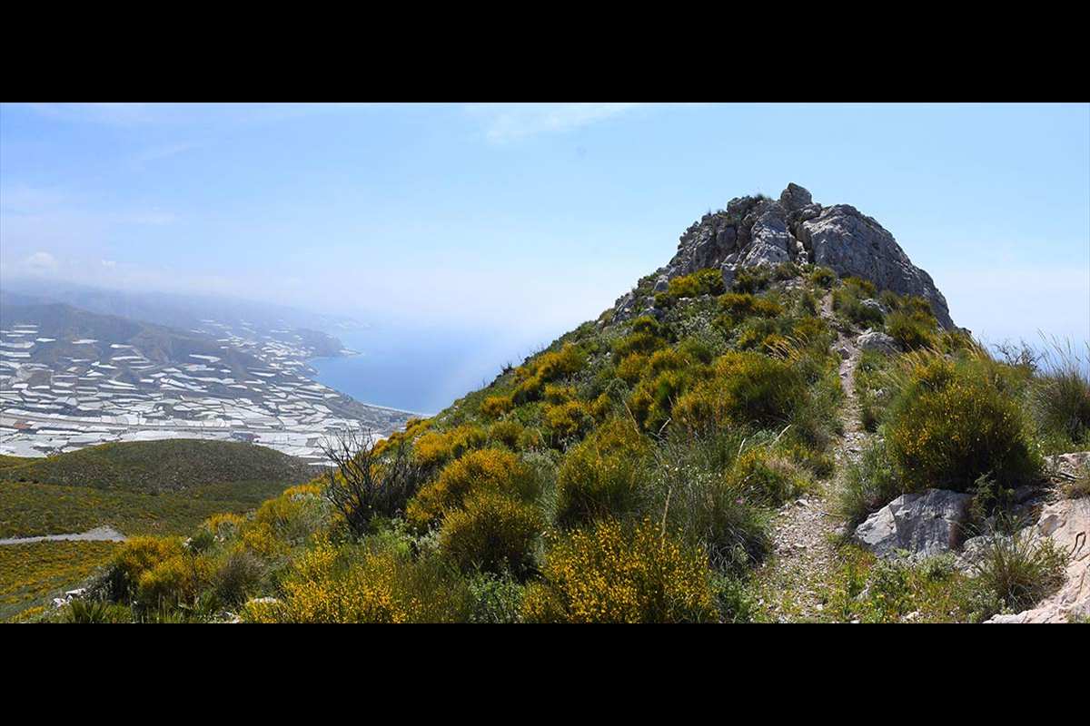 pico-del-aguila-panoramica-009