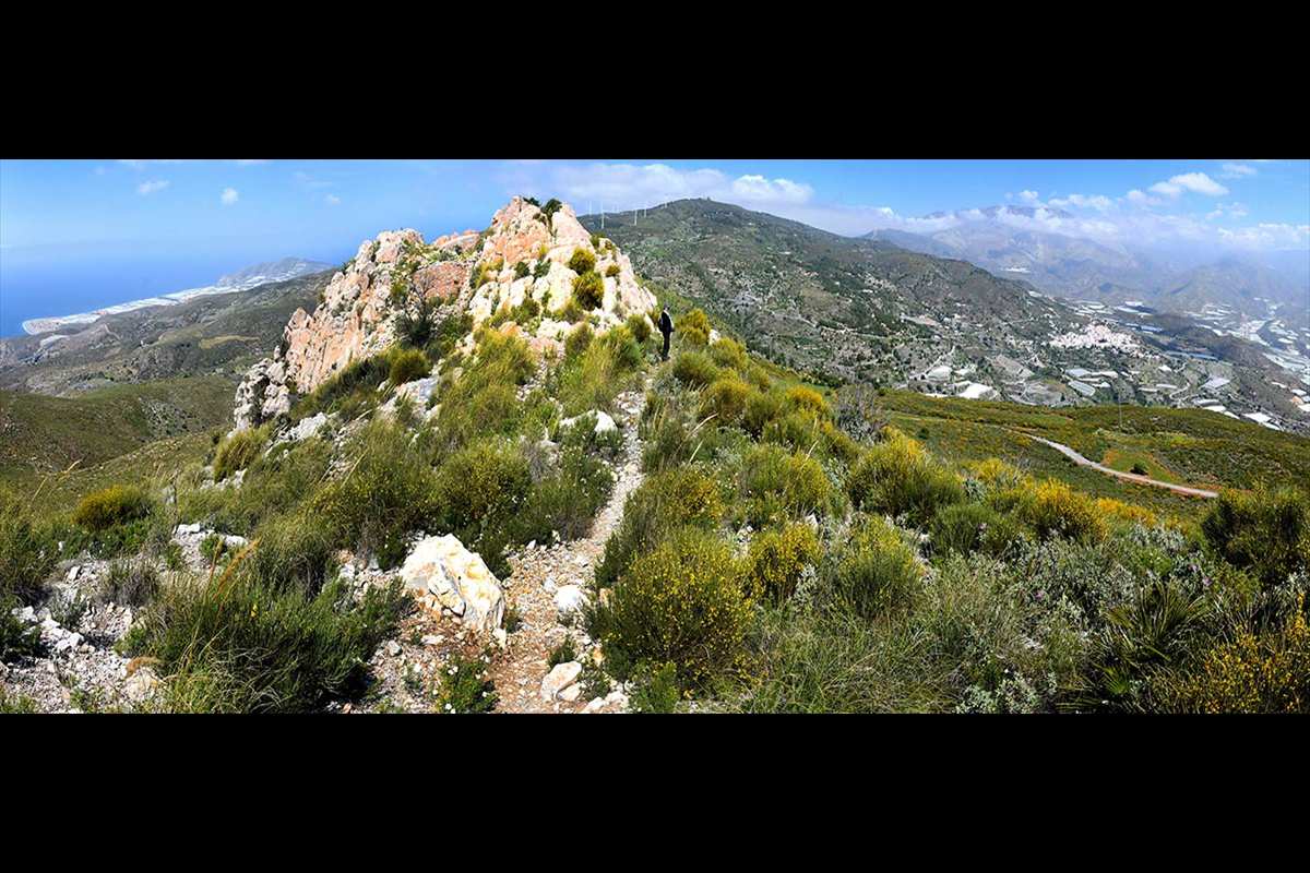 pico-del-aguila-panoramica-011