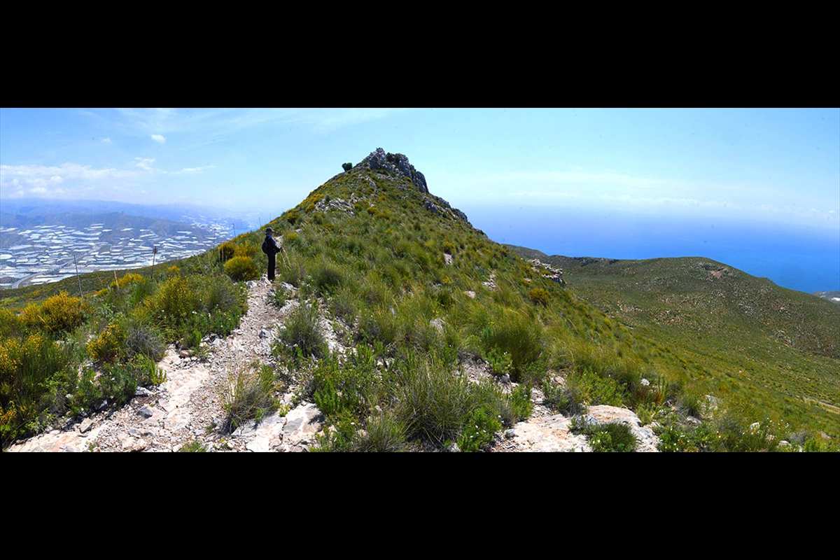 pico-del-aguila-panoramica-014