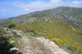 pico-del-aguila-163