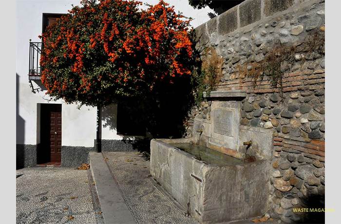 pilar-carrildesancecilio6