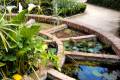 parterre-acuatico-jardinbotanico